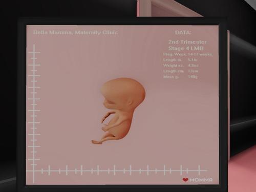 Web 61ae92664e1b1d6bca510bb4