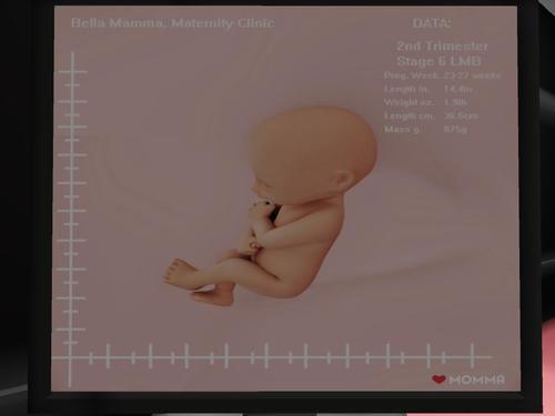 Web 61c100f0dcfb6105a5faf784