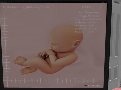 Web 61dcb0c404bdaf3c1f248d81