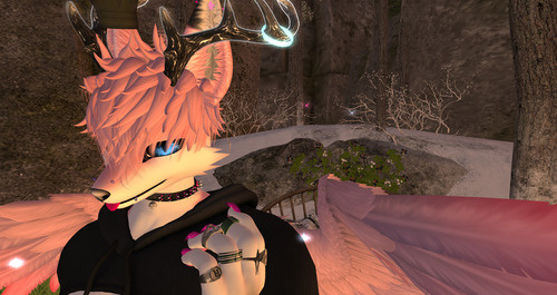 Web 679530d7cada5c45c8bba7e1