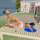 Thumb 65c682d598e6783207310195