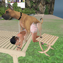 Thumb 65c68448bda26c24258917a6