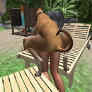 Thumb 65c68468c6a5d61d5d84b3ab