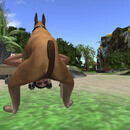 Thumb 65c68549be672a1bc8264780