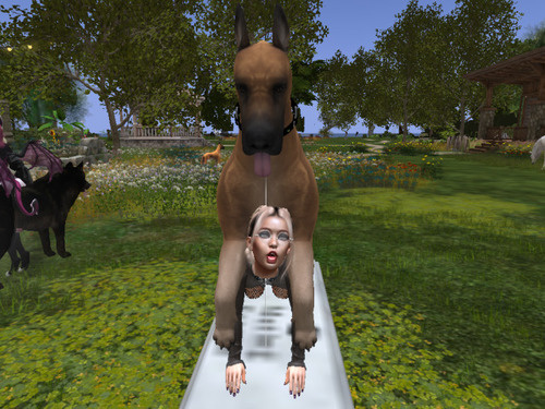 Web 6465c78664d6275709d36b65