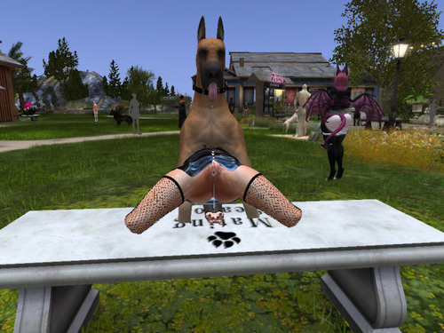 Web 6465ca1264d6275af0d36b65