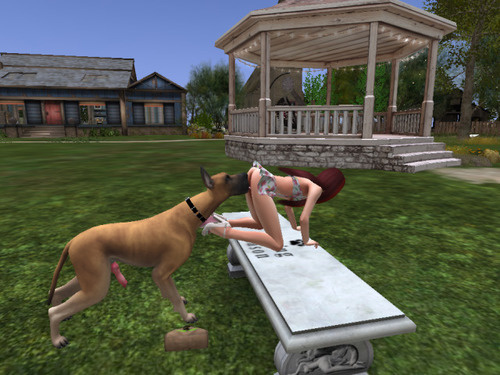 Web 646701cd89c9813f9eb462dc