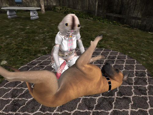 Web 65cea9ac4f09d97f18b3de95