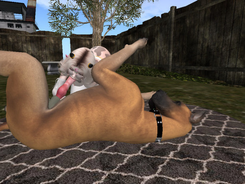 Web 65ceaa5eb854063f76c0801c