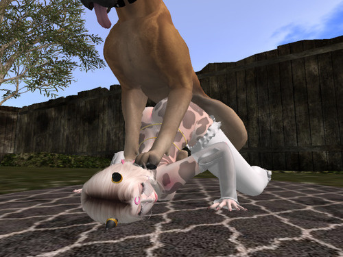 Web 65ceac374f09d907e0b3de95