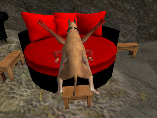 Web 65d7b1f2f55cbd17a7d0444a