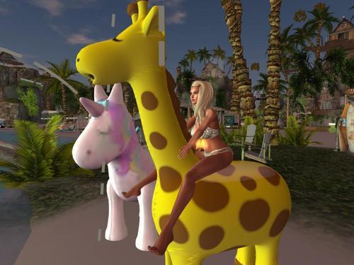 Web 6171c15ce600be6906acc983