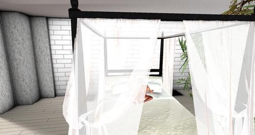 Web 61e2d7706b309e2c74b3da4e