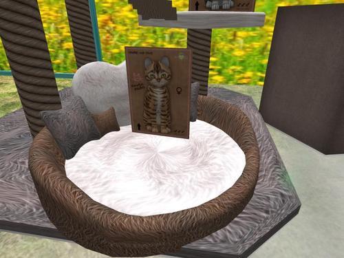 Web 6335e14aab005815475e31b5