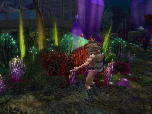 Web 61c1177e1e988e6f3dfd19f9