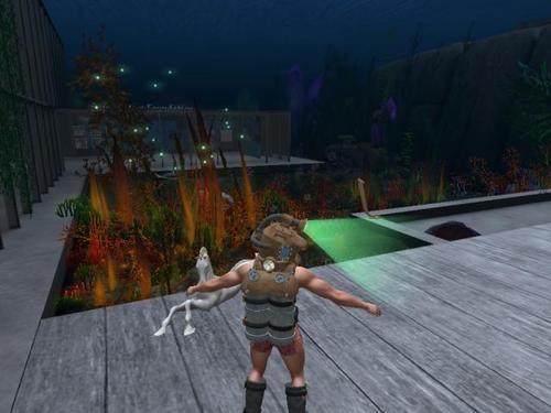 Web 61c1189d431ad96b007df39e