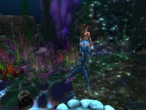 Web 61c1d4417e7f473b41751b07