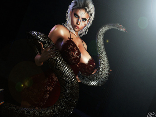 Web 6662c2076b9bf47de6cf3c09