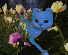 Original 64675edeef94cc0d75cb81b8