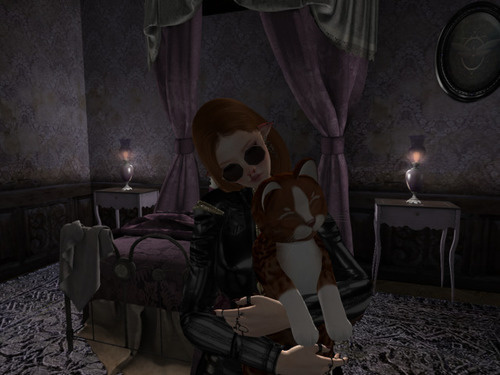 Web 6444cf9589c981035ab462dc