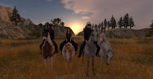 Web 644f7e15ed05c42f212d26bb