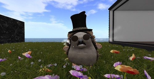 Web 6487494c7ae76d2d8b18c21b