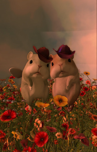 Web 64abbd8393ab5a5630135bcb