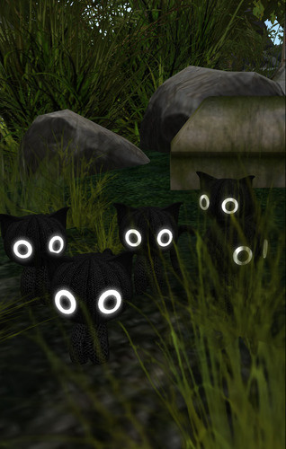 Web 64bf4f5fcff26325196857bf