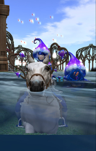 Web 64c08a2cbf4759295b79ec33