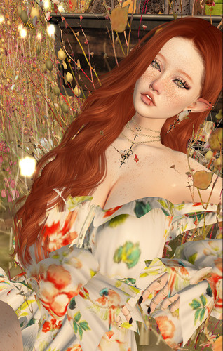 Web 654f6e21ddef4c34e44b7d39