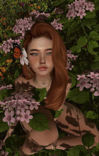 Web 655544770fc92a0c0eb8e00d