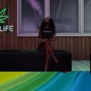 Thumb 627fea376ee2e92227dadf0f