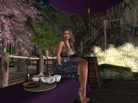 Small 63f03a688e738b7599fdfd57