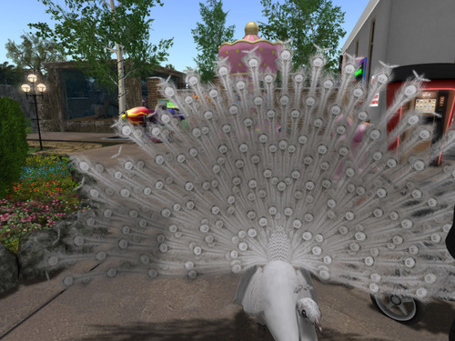 Web 63aa092c59ecd14f9a954008