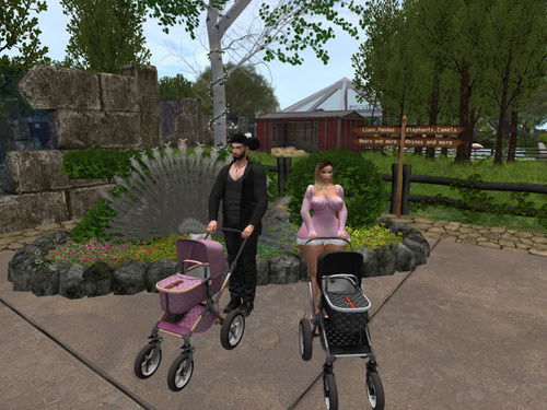 Web 63aa098639c05952910d9dcb