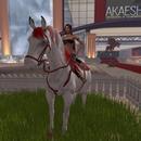 Thumb 63053b0d211a3f119364f9a2