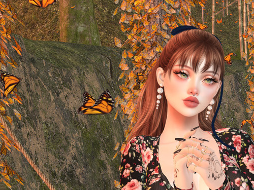 Web 646088309914833c3ef1f6f1