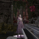 Thumb 64486146fb192024d007d38c