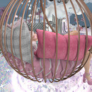 Thumb 644b04ee3d8d3c2a2bdca015