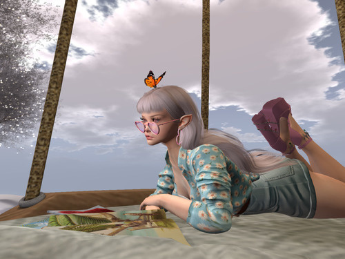 Web 644b0b8f64d6274732d36b65