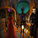 Thumb 63d758231d03136a8a4fa95b