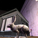 Thumb 64094af5f3b668168a950345