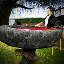 Thumb 65d801d7aec80b16d43f05d9