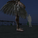 Thumb 65d9eff0f245c10c7b157382