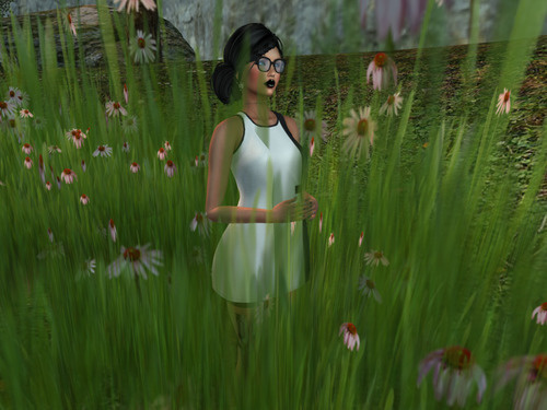 Web 63eaee74f9f619747397ef0b