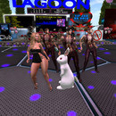 Thumb 63f765c51c942e28dee5e4ce