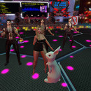 Thumb 63f76e2d8e32b065c8244e9e