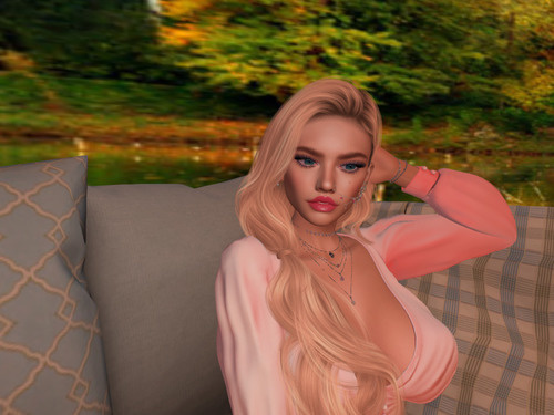 Web 641732463d8d3c35c3dca015