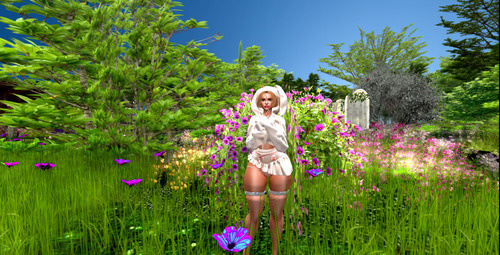 Web 644f7b2dc3f436726792d406