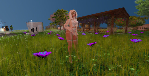 Web 644f7bfac3f436744892d406